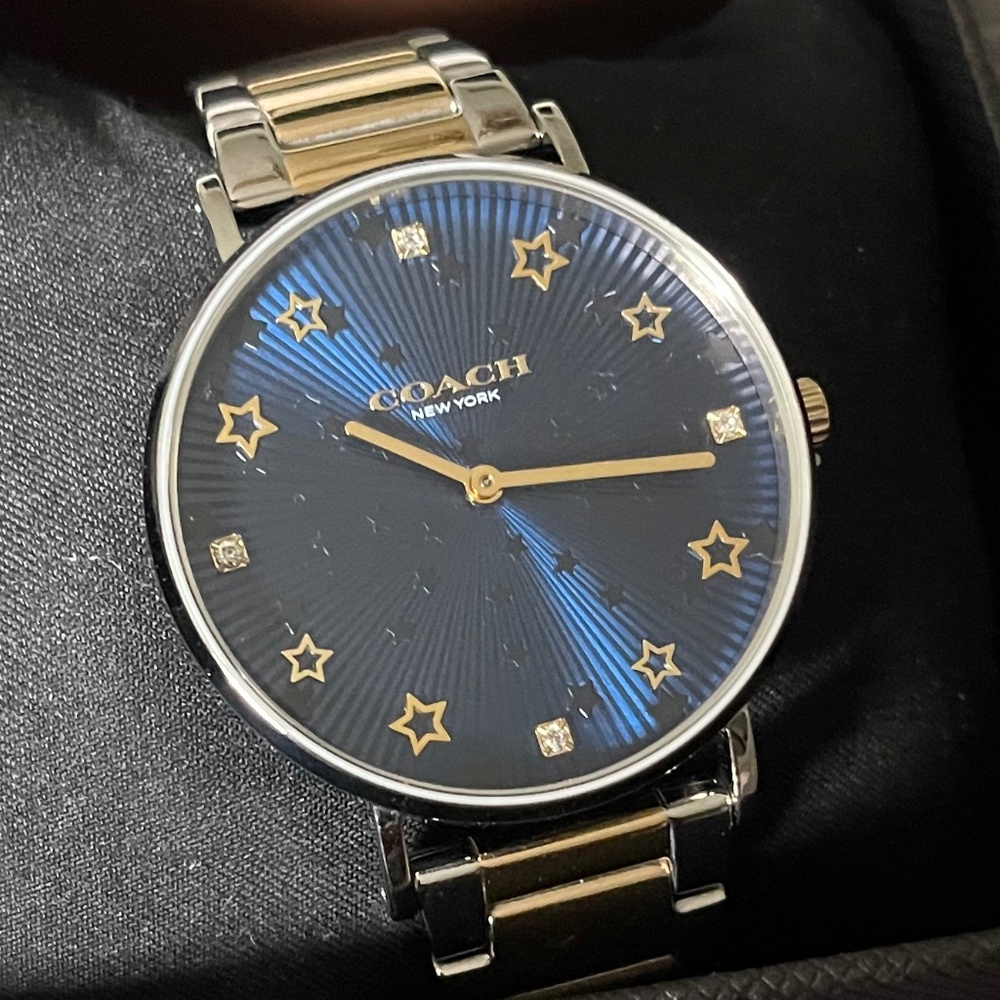 Brand New Coach Watch